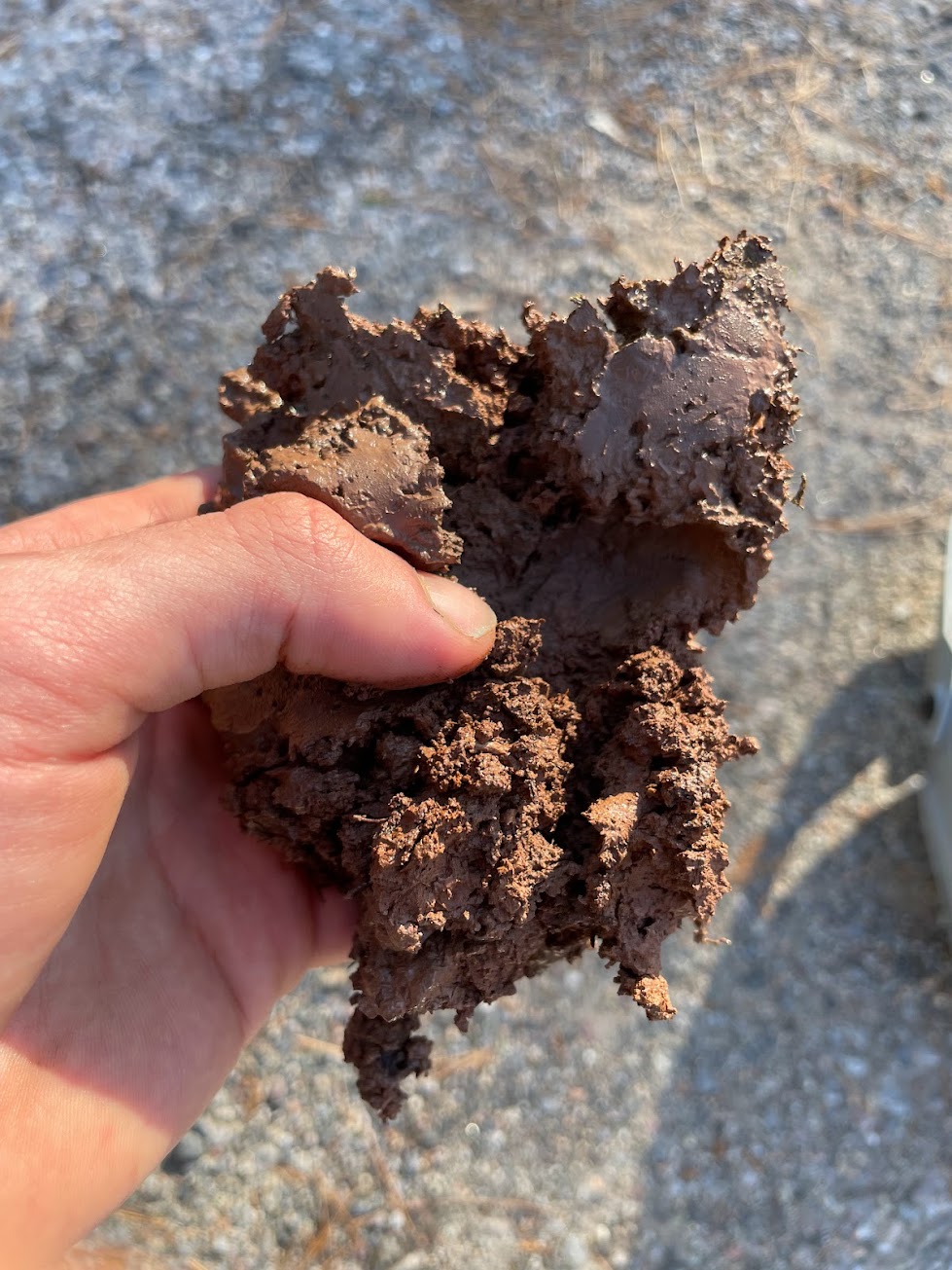 six mile clay — raw clay